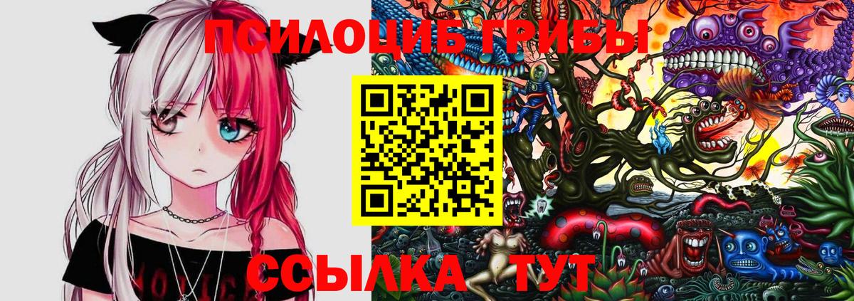 наркотики  Галлюциногенные грибы Cubensis  Вход с VPN  Псилоцибиновые грибы Psilocybine cubensis  Наро-Фоминск 